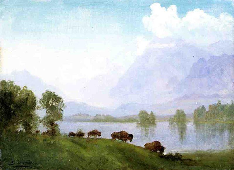 Albert Bierstadt Buffalo Country France oil painting art